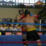 kick-boxing-973